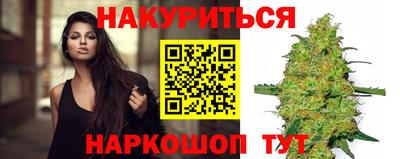 сатива Нальчик