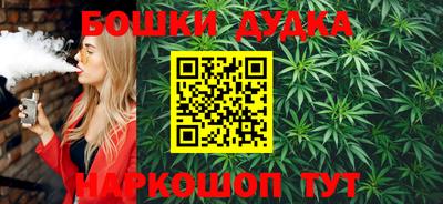 сатива Нальчик