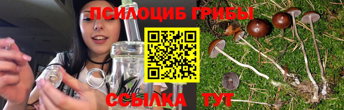 Псилоцибиновые грибы прущие грибы Рузаевка